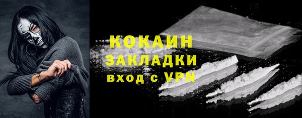 дживик Сосновый Бор