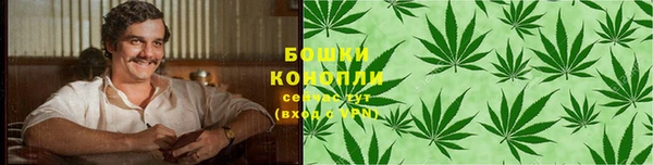 дживик Сосновый Бор