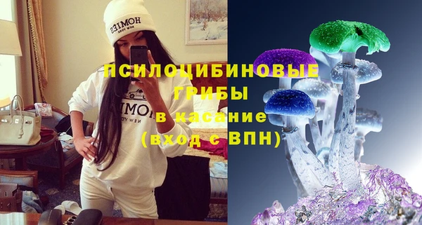 дживик Сосновый Бор