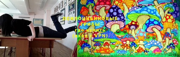 герыч Дегтярск