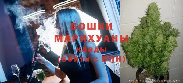 эйфоретик Дубна