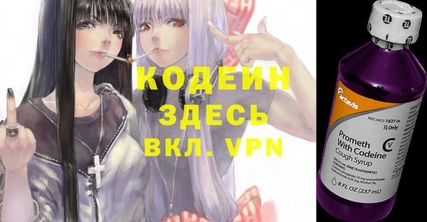 дживик Сосновый Бор