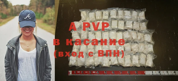 дживик Сосновый Бор