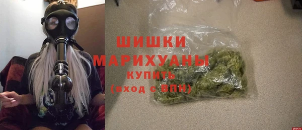 эйфоретик Дубна